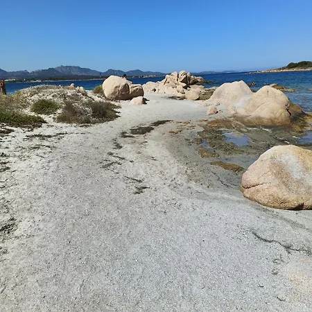 アパート Veronese オルビア