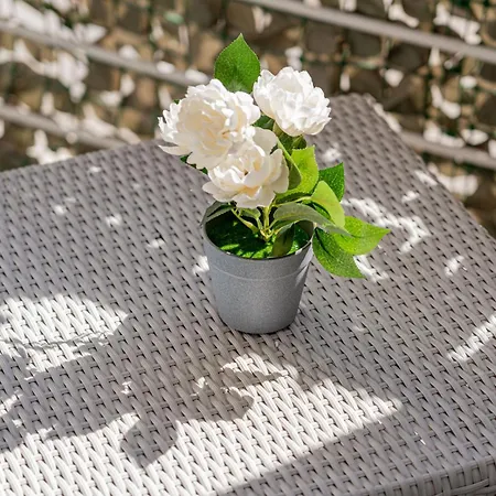 Veronese Apartmán Olbia