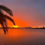 Veronese Olbia