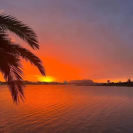 Veronese Olbia