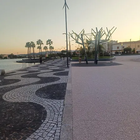 Veronese * Olbia