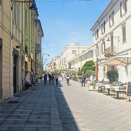 Veronese Olbia