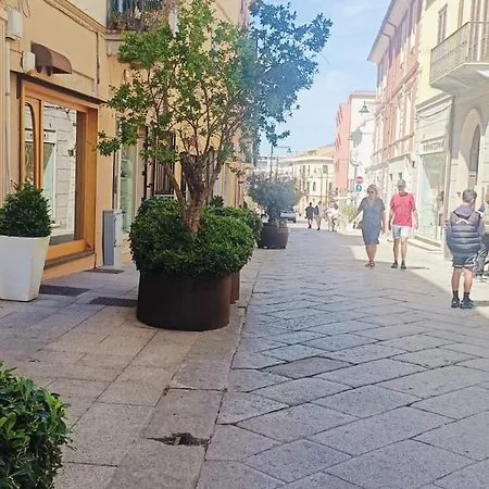 Veronese * Olbia