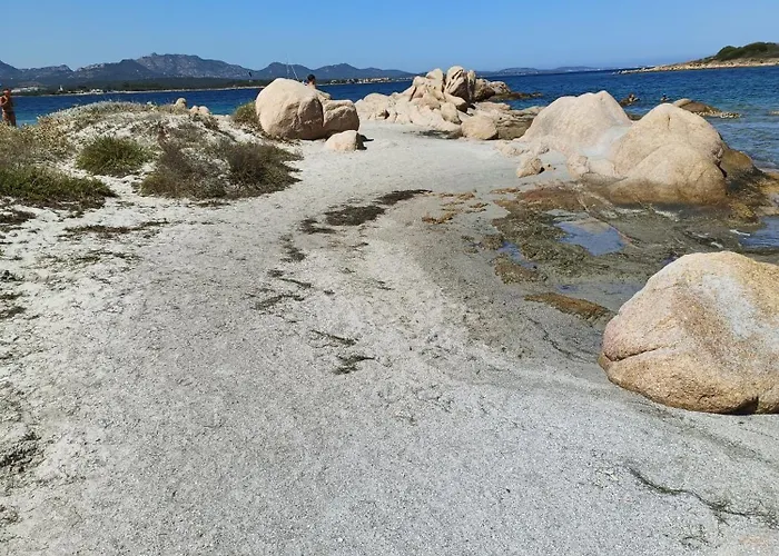 דירה Veronese אולביה