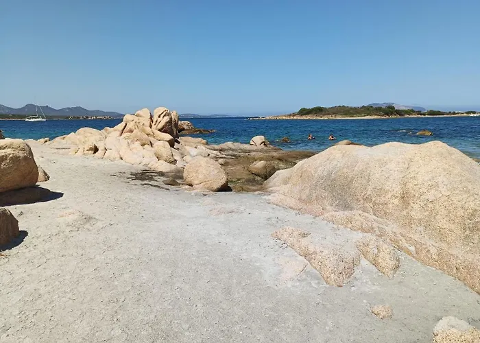 Veronese Ольбия