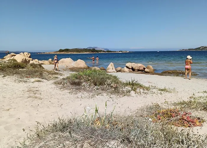 Veronese * Ольбия